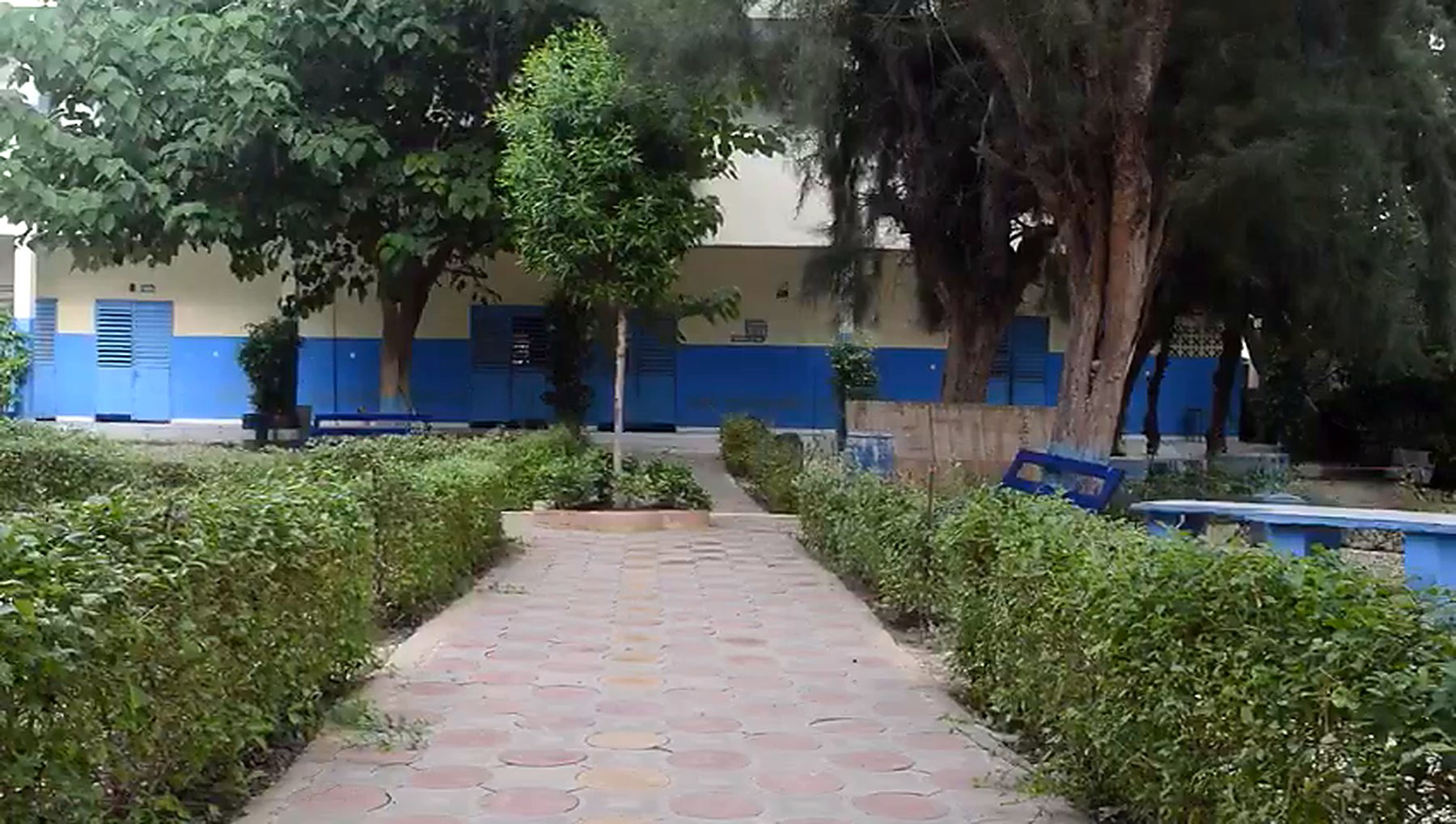 Allée pavée du jardin intérieur, bordée de haies et d'arbres, devant les bâtiments de classe