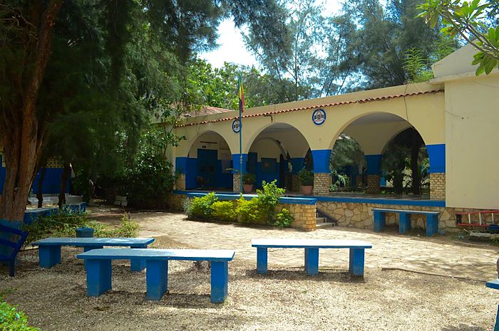 Le préau à arcades vu sous les grands arbres de la cour